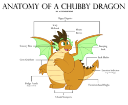 Size: 5953x4874 | Tagged: safe, artist:aleximusprime, imported from derpibooru, oc, oc only, oc:alex the chubby dragon, dragon, anatomy, anatomy chart, anatomy guide, chart, dragon oc, dragonsona, fat, happy, meme, non-pony oc, northern drake, plump, simple background, solo, spread wings, white background, wings