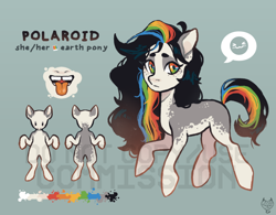 Size: 1000x778 | Tagged: safe, artist:maroonmads, imported from derpibooru, oc, oc only, earth pony, pony, commission, reference sheet, solo, ych result