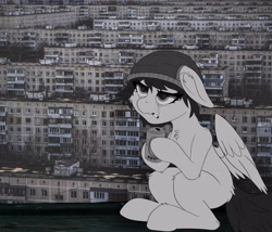 Size: 5000x4277 | Tagged: safe, imported from derpibooru, oc, pegasus, pony, absurd resolution, alcohol, beanie, beer, cigarette, grayscale, hat, meme, monochrome, solo, wings