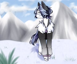 Size: 2560x2133 | Tagged: source needed, safe, artist:illustra, imported from derpibooru, oc, oc only, earth pony, pony, clothes, cloud, ear fluff, ear piercing, earring, earth pony oc, eye clipping through hair, eyebrows, eyebrows visible through hair, front view, fur collar, goggles, grass, high res, jacket, jewelry, looking away, male, male oc, mountain, oc name needed, parka, piercing, safety goggles, signature, snow, solo, stallion, stallion oc, unshorn fetlocks, winter outfit