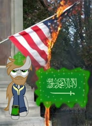 Size: 720x986 | Tagged: safe, edit, imported from ponybooru, oc, oc:littlepip, pony, fallout equestria, arabic, fire, flag, islam, op is a cuck, politics, saudi arabia, united states