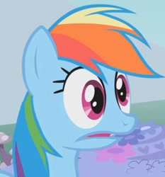 Size: 393x421 | Tagged: safe, imported from ponybooru, screencap, rainbow dash, pegasus, pony, cropped, faic, female, mare