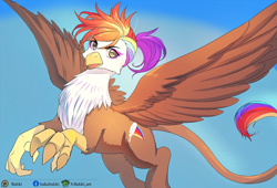 Size: 1400x954 | Tagged: safe, artist:bakki, imported from derpibooru, oc, oc only, oc:rainbow feather, griffon, flying, griffon oc, solo