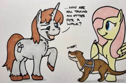 Size: 2047x1343 | Tagged: safe, artist:hoofclid, imported from derpibooru, fluttershy, oc, oc:hoofclid, otter, pegasus, pony, unicorn, chest fluff, female, hoof hold, horn, leash, male, mare, marker drawing, open mouth, open smile, smiling, stallion, traditional art, unshorn fetlocks, walk