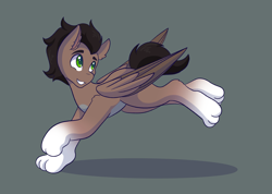 Size: 2048x1462 | Tagged: safe, artist:mscolorsplash, imported from derpibooru, oc, oc only, hybrid, pegasus, pony, coat markings, colored belly, colored pupils, gray background, grin, patreon, patreon reward, paws, running, simple background, smiling, socks (coat markings), solo, turned head