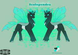 Size: 3508x2480 | Tagged: safe, imported from derpibooru, oc, oc only, oc:scolopendra, changedling, changeling, horn, insect wings, reference sheet, reformed, solo, wings