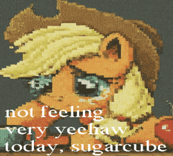 Size: 720x647 | Tagged: safe, imported from derpibooru, applejack, earth pony, pony, alcohol, apple, applejack is not amused, beer, deep fried meme, drunk, female, food, freckles, hat, hoof on cheek, mare, meme, needs more jpeg, sad, solo, text, unamused