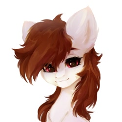 Size: 2000x2000 | Tagged: safe, artist:shooshaa, oc, oc only, pony, bust, female, looking at you, mare