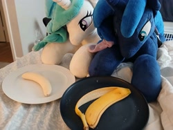 Size: 4080x3060 | Tagged: safe, imported from derpibooru, princess celestia, princess luna, alicorn, pony, banana, banana peel, duo, eating, female, food, irl, lying down, photo, plate, plushie, prone, royal sisters, siblings, sisters