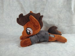 Size: 4096x3072 | Tagged: safe, artist:bluedragonflyplush, imported from derpibooru, earth pony, pony, all time low, clothes, commission, irl, lying down, male, photo, plushie, ponified, prone, rian dawson, shirt, solo, stallion, t-shirt