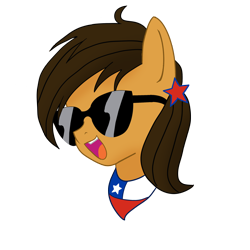 Size: 2000x2000 | Tagged: safe, artist:archooves, imported from derpibooru, oc, oc only, oc:chilenia, earth pony, pony, chile, nation ponies, ponified, simple background, solo, sunglasses, transparent background