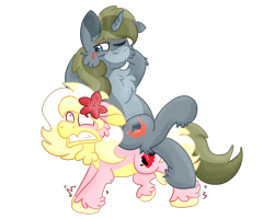 Size: 2500x2000 | Tagged: safe, artist:euspuche, imported from derpibooru, oc, oc only, oc:alabaster, oc:carmen garcía, pony, duo, female, flower, gritted teeth, lily (flower), male, motion lines, ponies riding ponies, riding, riding a pony, simple background, struggling, teeth, transparent background