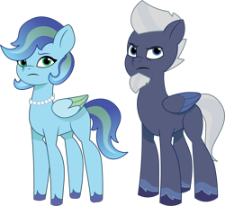 Size: 1302x1194 | Tagged: safe, artist:prixy05, imported from derpibooru, oc, oc only, oc:sky blues, oc:storm shivers, pegasus, pony, commission, commissioner:devcup, female, g5, jewelry, male, mare, my little pony: tell your tale, necklace, pearl necklace, simple background, stallion, transparent background, vector