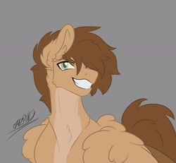 Size: 2048x1890 | Tagged: safe, artist:rhodium, imported from derpibooru, oc, oc only, oc:petrichor, pegasus, chest fluff, ear fluff, fluffy, gray background, grin, male, pegasus oc, simple background, smiling, solo, stallion, wings