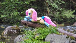 Size: 4032x2268 | Tagged: safe, artist:anonymous, imported from derpibooru, fluttershy, pegasus, blue stripes, blushing, bow, clothes, female, fluttershy plushie, forelegs crossed, irl, log, mare, nature, outdoors, photo, plushie, socks, solo, stone, striped socks, tail, tail bow, water, white stripes