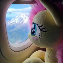 Size: 1791x1791 | Tagged: safe, artist:anonymous, artist:qtpony, imported from derpibooru, fluttershy, blushing, cloud, female, fluttershy plushie, irl, looking out the window, mare, photo, plane, plushie, solo, window