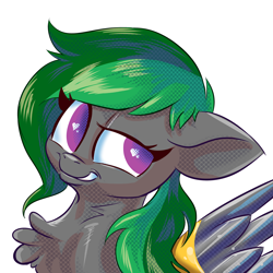 Size: 4800x4800 | Tagged: safe, artist:lytlethelemur, imported from derpibooru, oc, oc only, oc:twisted shadow, pegasus, pony, chest fluff, pegasus oc, solo, wings