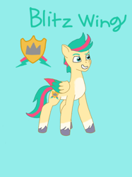 Size: 428x572 | Tagged: source needed, safe, artist:shucku, imported from derpibooru, oc, oc only, oc:blitz wing, pegasus, pony, cutie mark, cyan eyes, g5, g5 oc, male, my little pony: tell your tale, offspring, parent:hitch trailblazer, parent:zipp storm, parents:stormblazer, pegasus oc, stallion, stallion oc, tail, tell your tale accurate, title card, two toned mane, two toned tail, unshorn fetlocks, wings