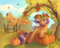 Size: 999x800 | Tagged: safe, artist:nexya05, imported from derpibooru, oc, oc only, earth pony, pony, solo