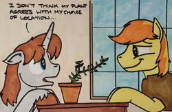 Size: 2048x1339 | Tagged: safe, artist:hoofclid, imported from derpibooru, braeburn, oc, oc:hoofclid, earth pony, pony, unicorn, canon x oc, dialogue, duo, duo male, gay, horn, male, marker drawing, narrowed eyes, potted plant, shipping, smiling, stallion, traditional art, unshorn fetlocks