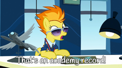 Size: 960x540 | Tagged: safe, imported from derpibooru, spitfire, pegasus, pony, wonderbolts academy, academy record, desk, female, glasses, impressed, jaw drop, lamp, lightbulb, mare, meme, office, open mouth, reference, shocked, solo, surprised, window, wonderbolts