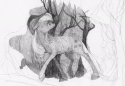 Size: 1787x1234 | Tagged: safe, artist:wolfiedrawie, imported from derpibooru, applejack, earth pony, pony, black and white, female, forest, grayscale, mare, monochrome, nature, solo, traditional art, tree