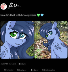 Size: 2303x2444 | Tagged: safe, artist:marbatra, imported from derpibooru, oc, oc only, oc:blue moon, bat pony, pony, heterochromia, implied homophobia, leaves, meme, meta, misspelling, ponified, ponified animal photo, ponified meme, real life background, solo, twitter