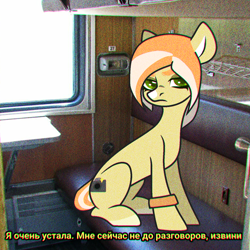 Size: 1536x1536 | Tagged: safe, artist:victoria_nik, imported from derpibooru, oc, oc only, oc:melting cocktail, earth pony, pony, angry, base used, cutie mark, cyrillic, green eyes, looking at you, real life background, sitting, solo, subtitles