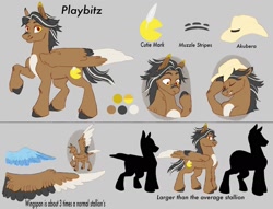 Size: 1700x1300 | Tagged: safe, artist:abbytabbys, imported from derpibooru, oc, oc:playbitz, pegasus, big pony, imperial pegasus, large wings, reference sheet, wings