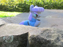 Size: 2354x1765 | Tagged: safe, alternate version, artist:malte279, imported from derpibooru, part of a set, maud pie, earth pony, pony, boulder (g4), concrete, craft, female, mare, outdoors, sculpture, solo, ytong