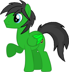 Size: 3176x3336 | Tagged: safe, artist:star-armour95, imported from derpibooru, oc, oc only, oc:star armour, pegasus, male, simple background, solo, transparent background