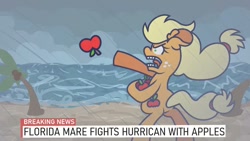 Size: 800x450 | Tagged: safe, artist:threetwotwo32232, imported from derpibooru, applejack, earth pony, pony, angry, apple, beach, bipedal, breaking news, exploitable meme, female, florida, florida man, food, hurricane, island, mare, meme, misspelling, newbie artist training grounds, open mouth, outdoors, palm tree, rain, silly, silly pony, solo, throwing, tree, who's a silly pony, wind