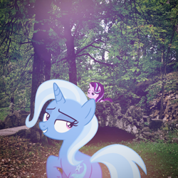 Size: 2296x2294 | Tagged: safe, artist:alandssparkle, artist:trrrebleee, edit, imported from derpibooru, vector edit, starlight glimmer, trixie, pony, unicorn, duo, duo female, female, high res, horn, irl, lesbian, mare, nature, photo, ponies in real life, real life background, shipping, startrix, vector