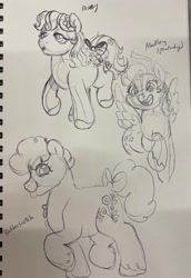 Size: 1410x2048 | Tagged: safe, artist:texacity, imported from derpibooru, butterscotch (g1), medley, posey, earth pony, pegasus, pony, bow, female, flower, flower in hair, g1, lidded eyes, mare, open mouth, open smile, pencil drawing, smiling, tail, tail bow, tongue out, traditional art, trio