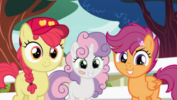 Size: 1276x718 | Tagged: safe, edit, edited screencap, editor:anonymous, imported from derpibooru, screencap, apple bloom, scootaloo, sweetie belle, earth pony, pegasus, pony, unicorn, marks for effort, adorabloom, alternate hairstyle, bandaid, baseball cap, blank flank, braid, braided pigtails, cap, cute, cutealoo, cutie mark crusaders, diasweetes, female, fence, filly, foal, hairclip, hat, horn, looking at you, messy mane, pigtails, smiling, smiling at you, tomboy, tree, trio