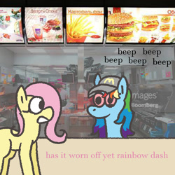 Size: 1000x1000 | Tagged: safe, artist:zoeyhorse, imported from derpibooru, fluttershy, rainbow dash, pegasus, pony, baseball cap, bloodshot eyes, cap, dialogue, duo, duo female, fast food, female, food, getty images, hat, high, irl, mare, mcdonald's, missing cutie mark, photo, ponies in real life, wingless