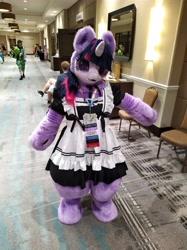 Size: 5000x6667 | Tagged: safe, imported from derpibooru, twilight sparkle, human, 2024, clothes, corridor, dress, fursuit, indoors, irl, irl human, maid, mare fair, photo, ponysuit