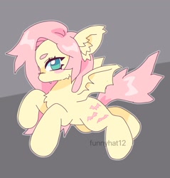 Size: 1960x2048 | Tagged: safe, artist:funnyhat12, imported from derpibooru, fluttershy, bat pony, pegasus, pony, bat ponified, bat wings, cute, female, flutterbat, flying, gray background, looking at you, race swap, simple background, solo, spread wings, wings