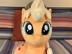 Size: 4032x3024 | Tagged: safe, artist:littlefairyswonders, imported from derpibooru, applejack, earth pony, pony, applejack's hat, cowboy hat, female, hat, irl, looking at you, lying down, photo, plushie, solo