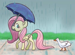 Size: 3445x2554 | Tagged: safe, artist:catscratchpaper, imported from derpibooru, fluttershy, bird, duck, pegasus, pony, grass, mouth hold, rain, sidewalk, umbrella