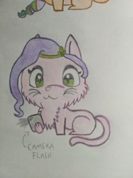 Size: 3016x4032 | Tagged: safe, artist:tom artista, imported from derpibooru, pipp petals, cat, animal, animal in mlp form, camera, camera flashes, catified, drawing, female, g5, solo, species swap, traditional art