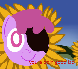 Size: 554x496 | Tagged: safe, artist:pylony, imported from derpibooru, berry punch, berryshine, earth pony, encouragement, eyepatch, female, flower, gradient background, grammar error, looking at you, meme, misspelling, needs more jpeg, smiling, solo, sunflower, team fortress 2, text