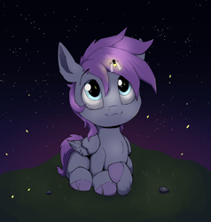 Size: 1550x1627 | Tagged: safe, artist:luxsimx, imported from derpibooru, oc, oc only, oc:cyclone stormy, firefly (insect), insect, pegasus, pony, colt, foal, male, night, solo