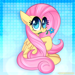 Size: 2000x2000 | Tagged: safe, artist:saveraedae, imported from derpibooru, fluttershy, pegasus, pony, abstract background, blue background, cute, daaaaaaaaaaaw, female, flower, gradient background, looking at you, mare, mouth hold, pink mane, raised hoof, shyabetes, simple background, solo, teal eyes, wings, yellow coat