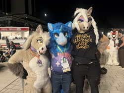 Size: 4032x3024 | Tagged: safe, artist:rs_glide08, artist:scarletwingsfs, imported from derpibooru, oc, oc:blue sky, alicorn, alicorn oc, furry, furry oc, fursuit, horn, irl, night, outdoors, photo, ponysuit, trio focus, wings
