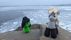 Size: 4000x2250 | Tagged: safe, artist:hellishnya, artist:trueheartcraft, imported from derpibooru, photographer:merik1337, derpy hooves, oc, oc:filly anon, clothes, female, filly, ice, irl, ocean, photo, plushie, rock, socks, water