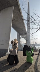 Size: 1512x2688 | Tagged: safe, artist:hellishnya, artist:trueheartcraft, imported from derpibooru, photographer:merik1337, oc, oc:filly anon, bridge, clothes, female, filly, irl, photo, plushie, socks, vladivostok, zolotoy bridge