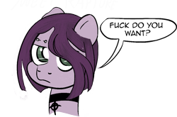 Size: 1005x664 | Tagged: safe, artist:n', imported from derpibooru, oc, oc only, oc:sweet rapture, earth pony, pony, dialogue, simple background, solo, swearing, transparent background, vulgar