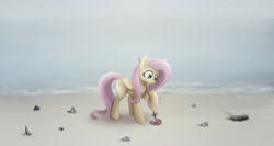 Size: 3000x1600 | Tagged: safe, artist:zetamad, imported from derpibooru, fluttershy, pegasus, pony, atg 2020, beach, cleaning, female, folded wings, mare, newbie artist training grounds, outdoors, solo, trash, wings