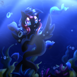 Size: 2024x2024 | Tagged: safe, artist:auroracursed, imported from derpibooru, oc, oc only, fish, pegasus, pony, seapony (g4), 2019, bubble, commission, coral, crepuscular rays, cute, digital art, dorsal fin, female, fin, fin wings, fins, fish tail, flowing mane, flowing tail, mare, ocean, old art, scales, seaweed, smiling, solo, spread wings, sunlight, swimming, tail, underwater, water, wings, ych result